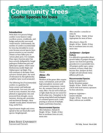 Conifer Species for Iowa -- Community Trees