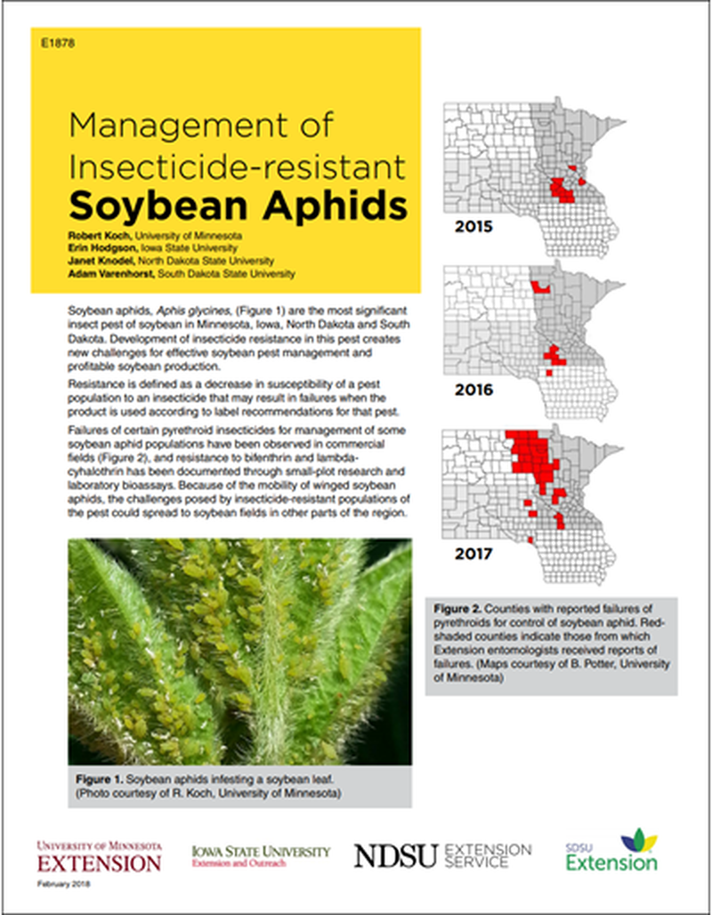 Management of Insecticide-resistant Soybean Aphids image number 0