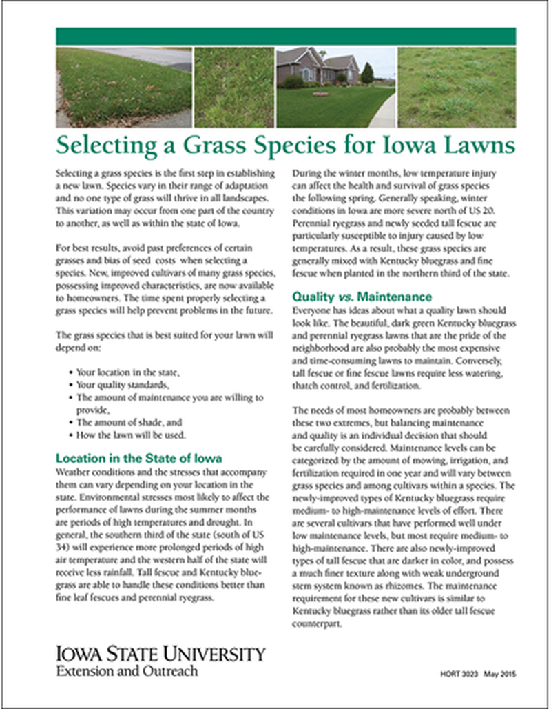 Selecting a Grass Species for Iowa Lawns image number 0