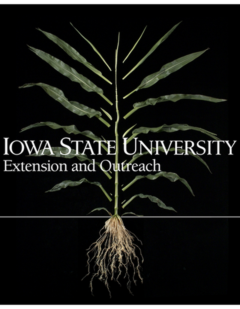 Dissected V15 plant image number 0