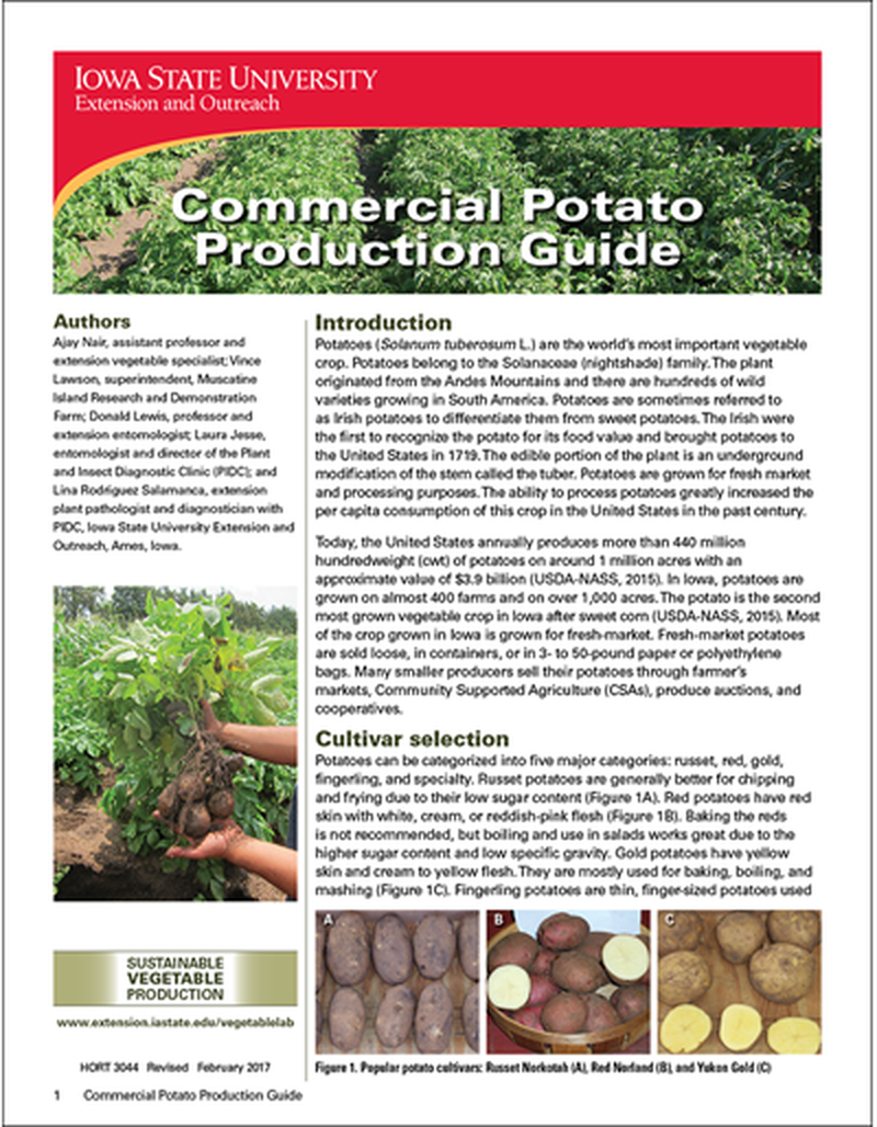 Commercial Potato Production Guide image number 0