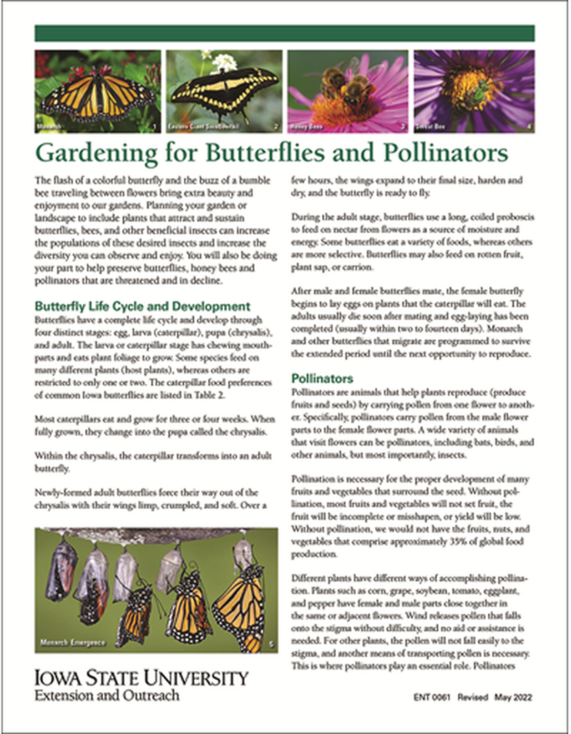 Gardening for Butterflies and Pollinators image number 0