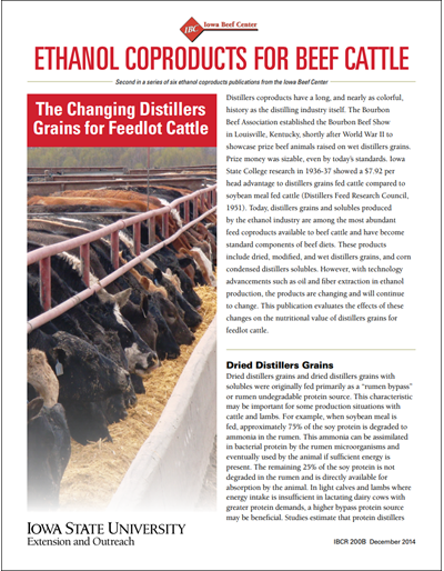 Ethanol Coproducts for Beef Cattle - The Changing Distillers Grains for Feedlot Cattle
