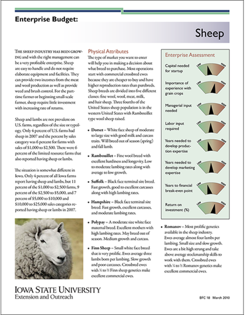 Enterprise Budget: Sheep image number 0