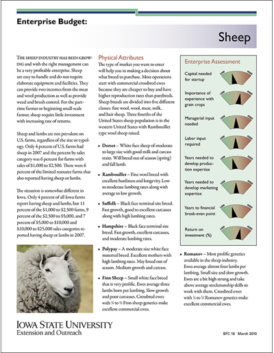 Enterprise Budget: Sheep