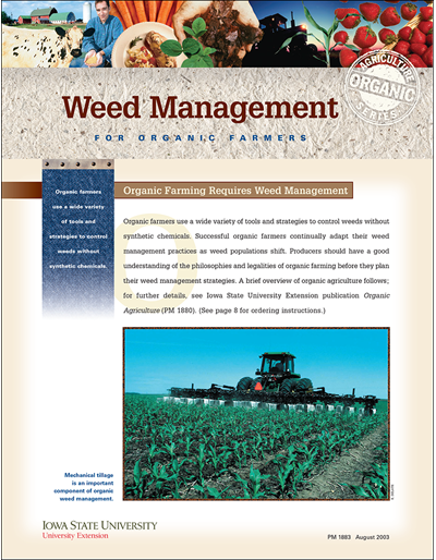 Organic Weed Management Techniques That Work